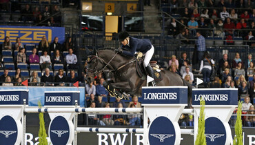 Vleut with full-time breeding career