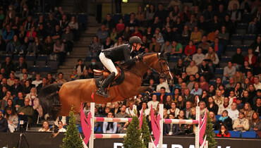 From youngster to international Grand Prix horse: Iliana