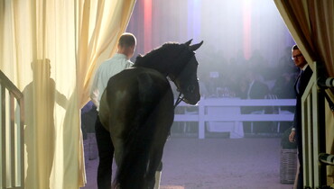 17th International Sport Horse Sales: An auction evening with plenty of surprises