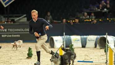 Agility at Sweden International Horse Show: Belgium vs. Sweden