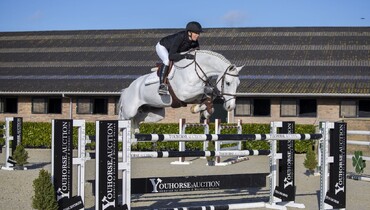 December shopping at new Youhorse.auction