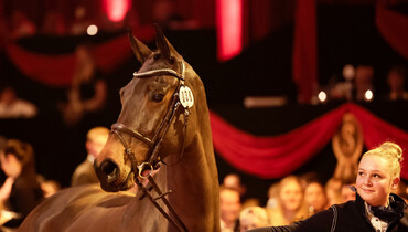 43rd P.S.I. Auction: The 6-year-old Chyazint jumps into the record books with top price of 4 million Euros