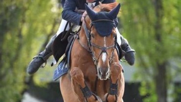 Sunday's Grand Prix winners