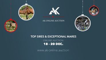 Incredible opportunities with foals out of GP mares Sancha LS, Babylotte, Sterrehof's Ushi and ...