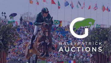 Ballypatrick Auctions is offering Olympic & 5-star international pedigrees selected by a proven brand for top performance