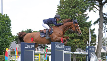 From youngster to international Grand Prix horse: Kalinka van de Nachtegaele