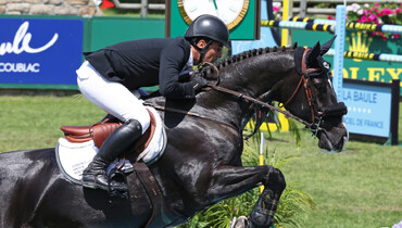 Alamo follows Equine America Spacecake and Kriskras DV to Saudi Arabia