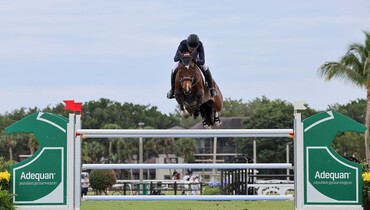 No worries for Akuna Mattata in Adequan® WEF Challenge Cup
