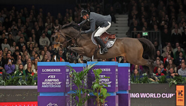 Donatello d'Auge tops the WBFSH Breeder Ranking for a second month