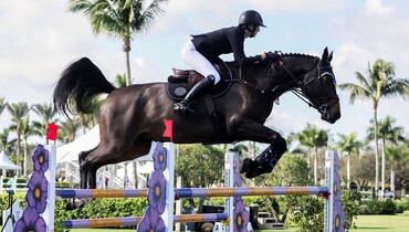 Dean and Dotcom d’Authuit dazzle in Wellington Equestrian Realty CSI4* Speed