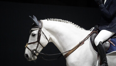 Behind the scenes at Jumping International de Bordeaux 2023