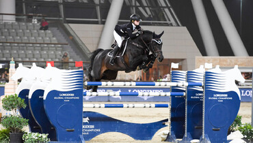 Copain Du Perchet CH retires to stand with Stallion AI Services, UK