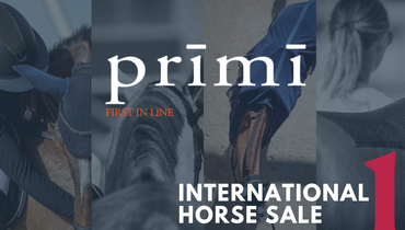 New international horse sale event: Prīmī - First in Line