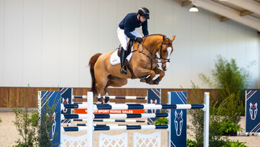 Redfield Farm, Stal Hendrix and Andre Thieme organize the first sport horse auction at the WEC Ocala FL