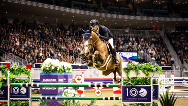 Major Tom – “He has everything we as riders look for in a horse”