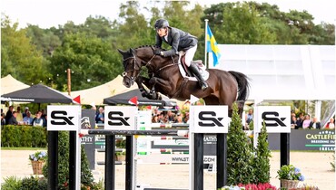 WEF Sport Horse Auction 2nd March at Wellington International
