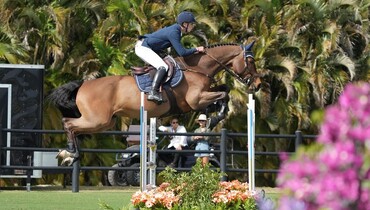 18-year-old Tom Wachman scores CSI3* win