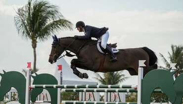 Tebbel, Ward split victory in CHF37,000 CSI3* Adequan® WEF Challenge Cup round 6