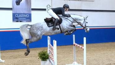 Holsteiner Spring Auction Sale on 25 March: Valuable bloodlines and sport results