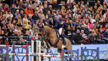Equine America Verdiamo Z to Janne Friederike Meyer-Zimmermann