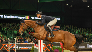 Max Kühner is the master of faster in the CSI5* 1.50m Audi Prize in 's-Hertogenbosch