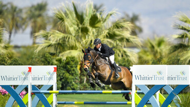 King and Odysseus win $38,700 CSI3* 1.45m Classic at Desert International Horse Park