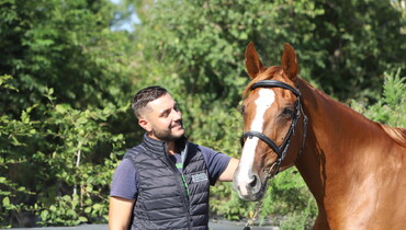 25 mares now available from Genesis Horse Breeding, the new reassuring framework for lovers of top-of-the-range breeding