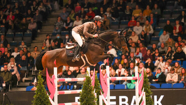 Caracho, Caramba 92, Checker and Looping Luna join Steve Guerdat’s string of horses