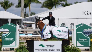 You can bet on Cepano Baloubet in Adequan® CSI4* WEF Challenge Cup round 10