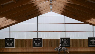 BB AUCTION : A second edition of 15 exceptional show jumpers!