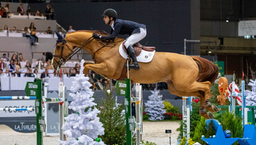 That Special Bond – with Marlon Modolo Zanotelli: “The difficult horses often turn out to be the most special ones”