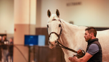 Jumpers strut their stuff ahead of big week in Omaha