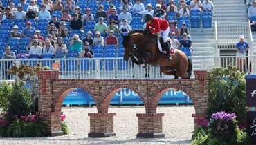 Tops Stallions offers fresh semen from world-class Bacardi VDL & Cinsey