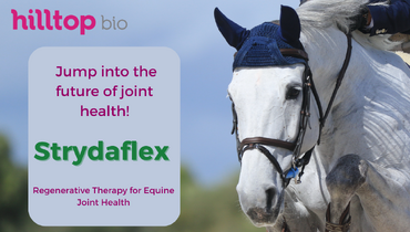 Hilltop Bio launches Strydaflex for equine joint health