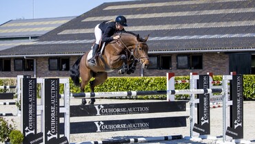 35th Youhorse.auction: For professionals, amateurs, traders and breeders