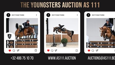 Top quality showjumpers in the first AS111 Auction