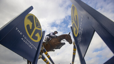 The Youngsters Auction horses from now on available for trials