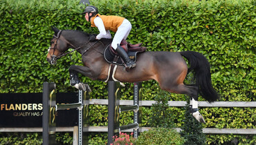 Two junior riders offer an amazing collection in their first Flanders Sales Auction!