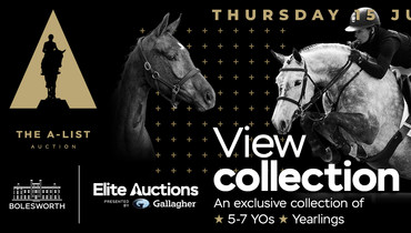 The 2023 A-List Auction collection is now live!