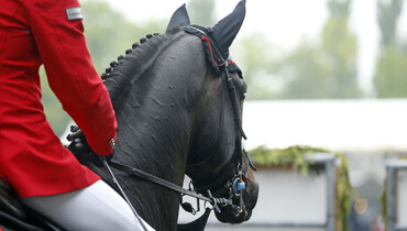 Images | The Longines Global Champions Tour Grand Prix in Hamburg - Part two