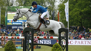 From youngster to international Grand Prix horse: Winningmood