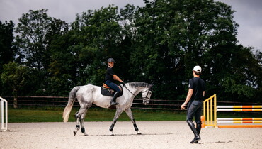 Top showjumping stable 30 minutes from London: Meet IN Showjumpers