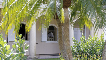 Images | Visiting Artemis Equestrian Farm - Part two