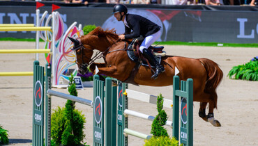 Pieter Devos and Jarina J best in the Championship of Rotterdam