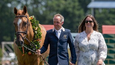 Shane Breen's Golden Hawk retired from the sport