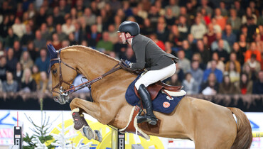 Élevage de Will Auction: Discover an extraordinary collection with outstanding genetics