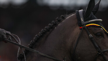 Nominated entries for the FEI Jumping European Championship 2023 online