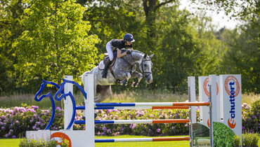 CSI Ommen presents exceptional collection of showjumpers & Prinsjesdag foals