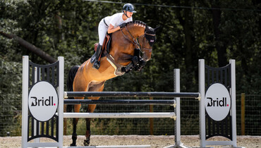 BRIDL Auction: The gold standard of transparent and exclusive equine auctions