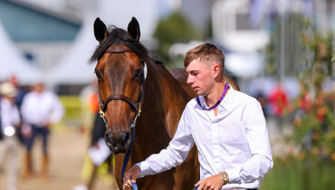 Equine America Cacharel: “We always knew she would be the one that was going to go all the way”